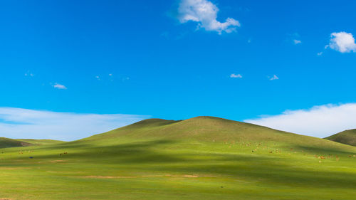 Scenic view of landscape against blue sky