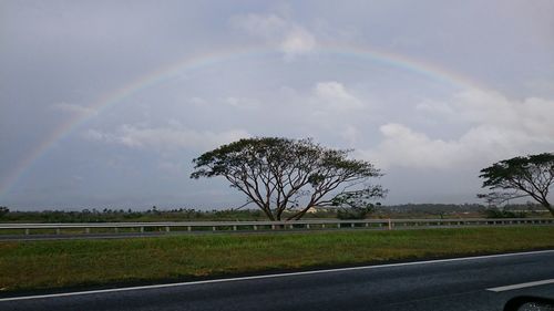 Country road passing through grassy field