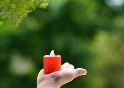 Close-up of hand holding red leaf
