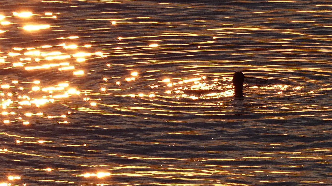 Swimming in golden sea