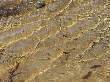 High angle view of beach