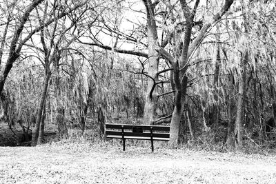 Empty bench in park