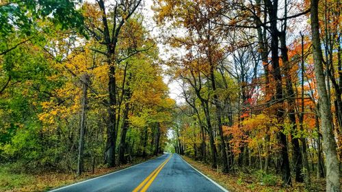 Road amidst trees in forest during autumn