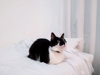 Close-up of cat sitting on bed at home