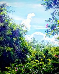 Trees against sky