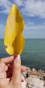 Close-up of person holding yellow sea against sky