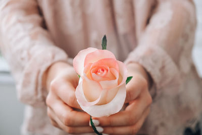 Female hand in pink blouse holding tender pink rose. minimal trendy composition. abstract art idea. 