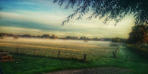 Scenic view of field against sky