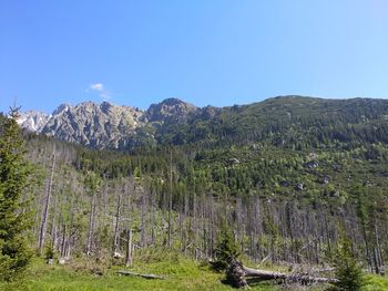 Scenic view of mountains against clear blue sky