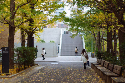 People walking on road amidst trees during autumn