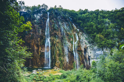 Scenic view of waterfall in forest