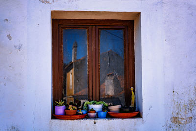 Potted plants on window of old building