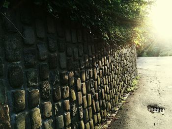 Panoramic view of row