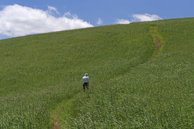 Rear view of man walking in farm against sky