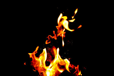 Close-up of bonfire at night