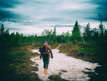 Rear view of man walking in forest