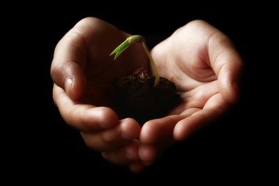 Close-up of hand holding object over black background