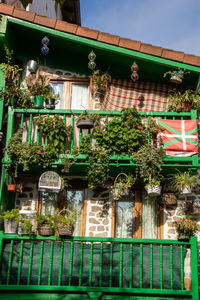 Low angle view of potted plants on building