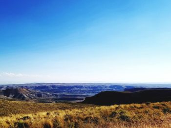 Scenic view of field against clear blue sky