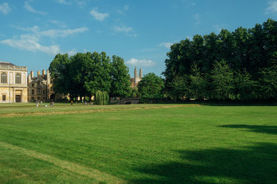 Trees on field against sky