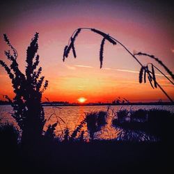 Scenic view of sunset over sea