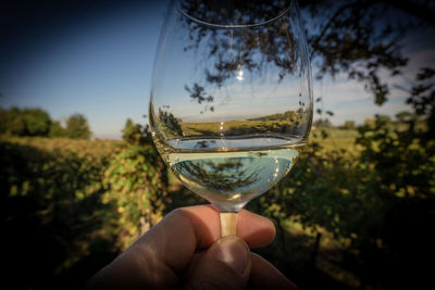 Close-up of hand holding glass of wineglass against sky