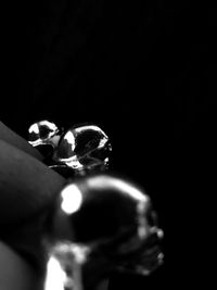 Close-up of hand holding leaf against black background