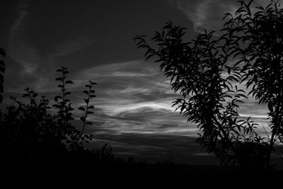 Low angle view of silhouette trees against sky at sunset