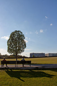 Trees on field against sky
