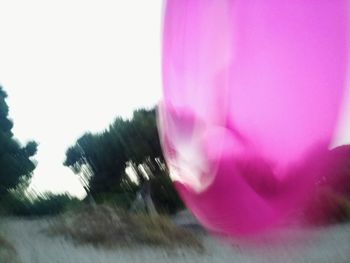 Close-up of pink flower against clear sky