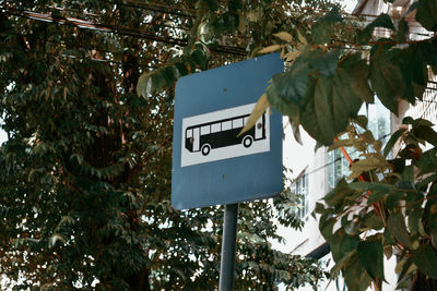 Low angle view of sign hanging on tree