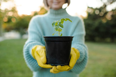 Woman holding green tomato sprout in hands in black flower pot wear yellow rubber gloves over nature