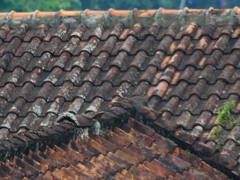 View of roof tiles