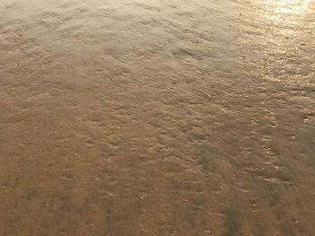 Close-up of sand on beach