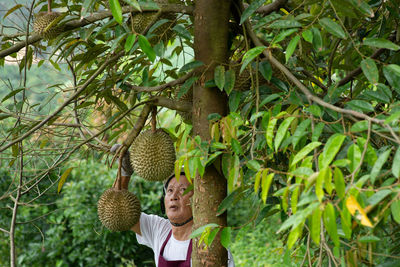 Full length of woman standing on tree