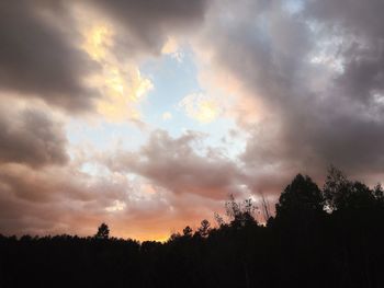 Silhouette of trees against dramatic sky