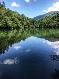 Scenic view of lake by trees against sky