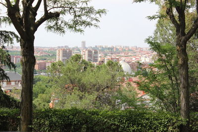 Trees and cityscape against sky