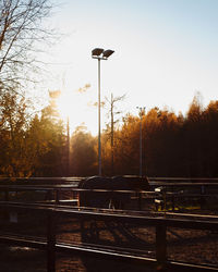 View of an animal on street at sunset