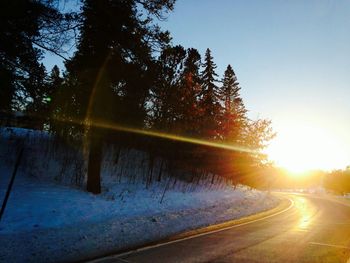 Sun shining through trees