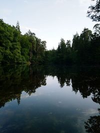 Reflection of trees in lake against sky