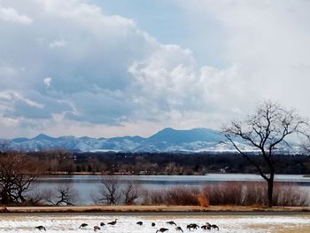 Scenic view of lake against sky during winter