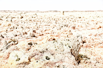 Close-up of sand on beach against clear sky