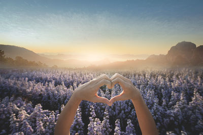 Cropped hands gesturing heart shape against purple plants