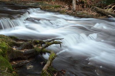 Scenic view of waterfall in forest