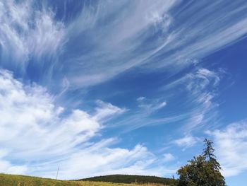 Low angle view of trees against sky