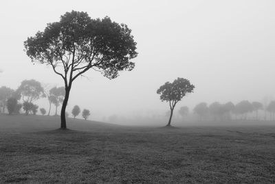 Scenic view of field against cloudy sky