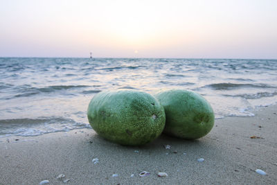 Close-up of sea against clear sky at sunset