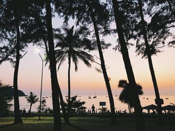 Silhouette palm trees against sky during sunset