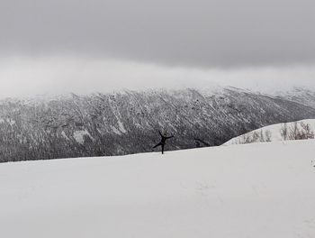 Bare tree on snow covered landscape